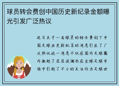 球员转会费创中国历史新纪录金额曝光引发广泛热议